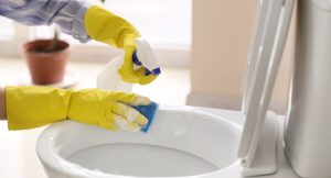 Clean the Toilet