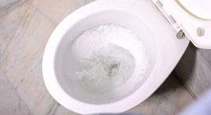 Clean the Toilet Bowl