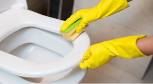 Clean the Toilet Seat