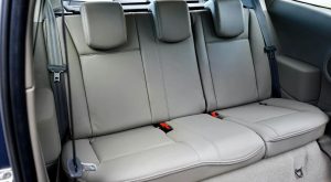 Conditioning the Leather