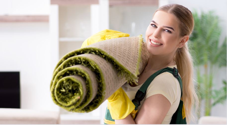 How to Clean Sick Off Carpet? How To Cleaning Blog