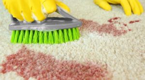 Gathering Supplies and Protecting Yourself