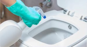 Removing Stains with Bon Ami and Vinegar