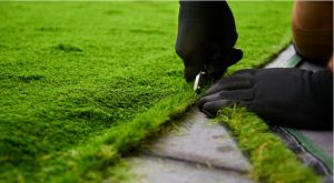 Removing leaves and weeds