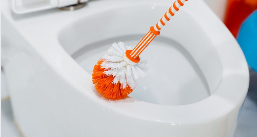 How to Clean a Toilet Brush? | How To Cleaning Blog