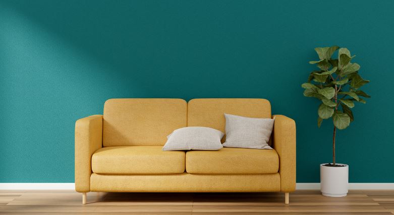 clean the fabric sofa