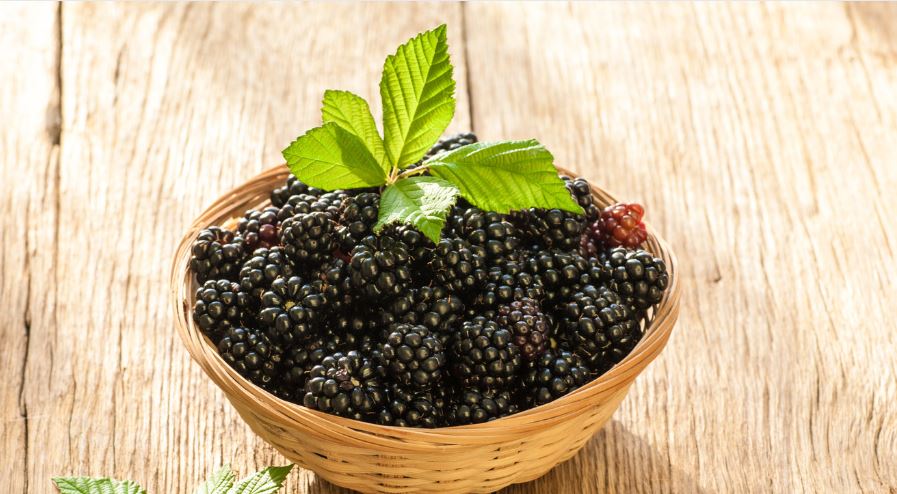 How to Clean Blackberries?