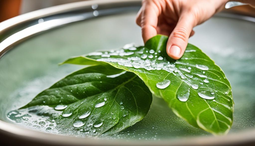 cleaning plant leaves with soap and water cleaning plant leaves with soap and water