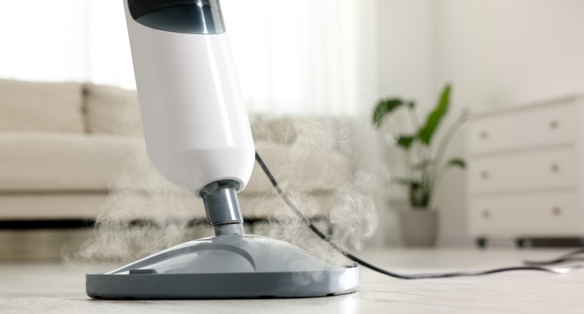Karcher Steam Mop Review
